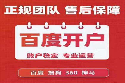 某行业SEM投放效果显著案例分享